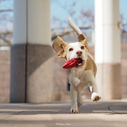 Arbeit mit dem Fuzzi